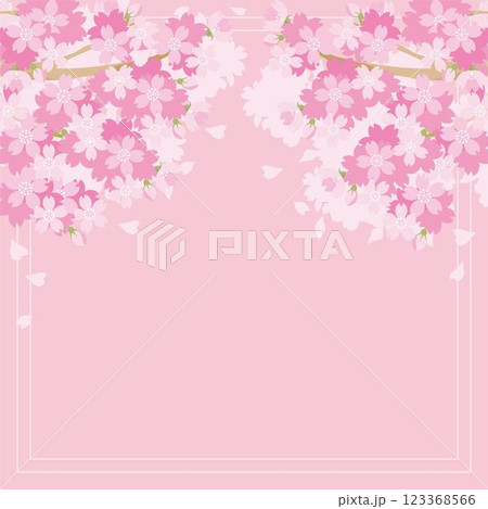 バナー 春 さくら 桜 サクラ お花見 フレーム 背景 デザイン テンプレート イラスト素材 バナー 春 さくら 桜 サクラ お花見 フレーム 背景 デザイン テンプレート イラスト素材 123368566