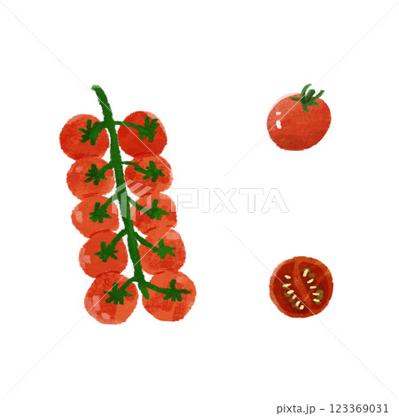 ミニトマトの手描きのカラーイラストセット 123369031