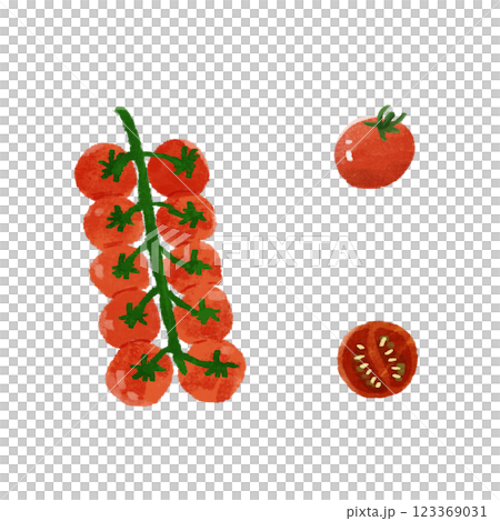 Cherry tomato hand-drawn color illustration set 123369031