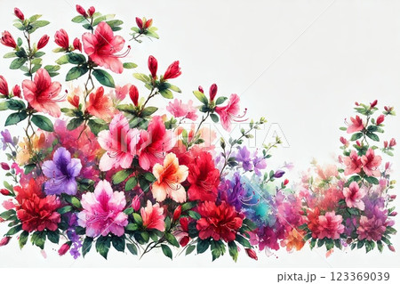 ツツジの花 123369039