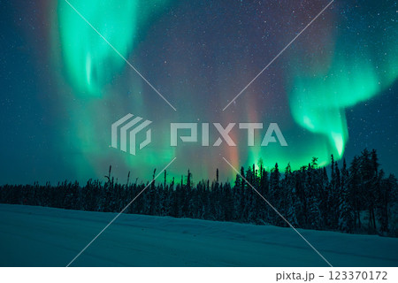イエローナイフで見るオーロラの絶景 123370172