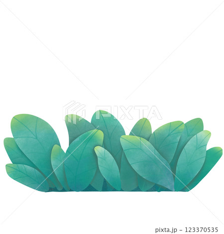green bush  123370535