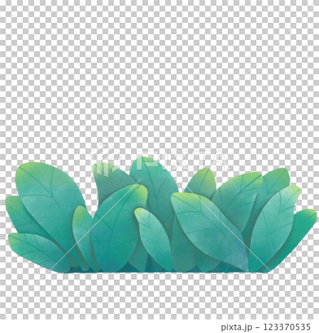 green bush  123370535