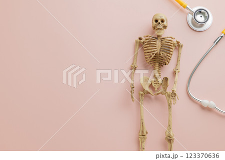 Yellow stethoscope and skeleton anatomical model on pink symbolize Doctor Day. 123370636