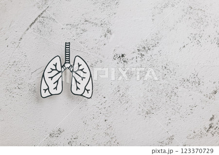 Decorative white lungs paper on gray for World TB Day. Raising awareness of tuberculosis Decorative white lungs paper on gray for World TB Day. Raising awareness of tuberculosis 123370729