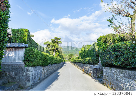 鹿児島県南九州市　観光スポットとして有名な知覧の武家屋敷 123370845