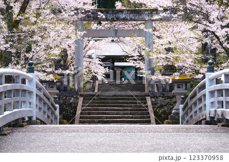 220416護国神社g002 123370958