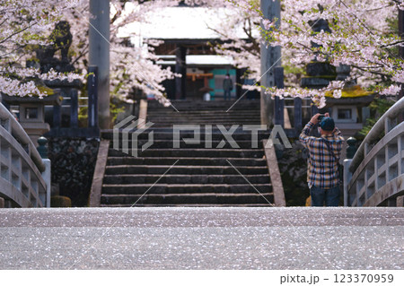 220416護国神社g009 123370959