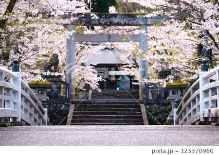 220416護国神社g014 123370960