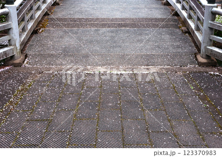 220416護国神社z210 123370983