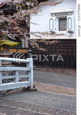 220416護国神社z232 123370986