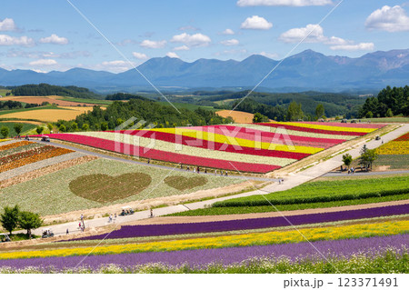 四季彩の丘 123371491