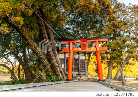 《厳島湿生公園》 夕暮れに染まる厳島神社を眺める (神奈川県中井町) 《厳島湿生公園》 夕暮れに染まる厳島神社を眺める (神奈川県中井町) 123371793