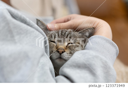 ネコを抱く 123371949