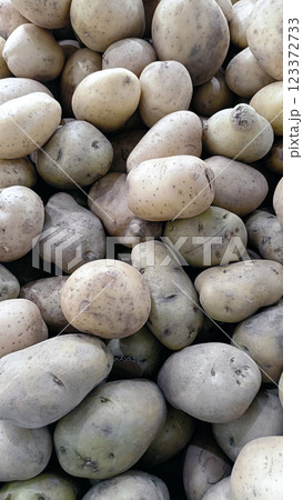 Fresh potatoes in various shapes and sizes, showcasing earthy tones and textures Fresh potatoes in various shapes and sizes, showcasing earthy tones and textures 123372733