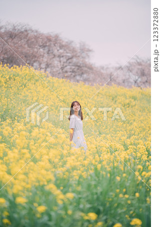 桜並木を背景に菜の花畑を歩く女性 桜並木を背景に菜の花畑を歩く女性 123372880