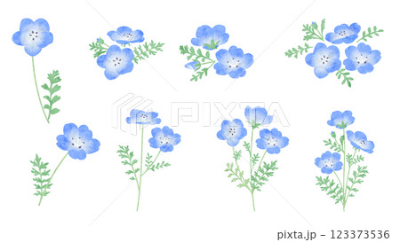 ネモフィラの水彩風ベクターイラスト 123373536