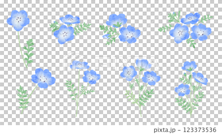 ネモフィラの水彩風ベクターイラスト 123373536