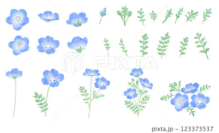 ネモフィラの水彩風ベクターイラスト 123373537