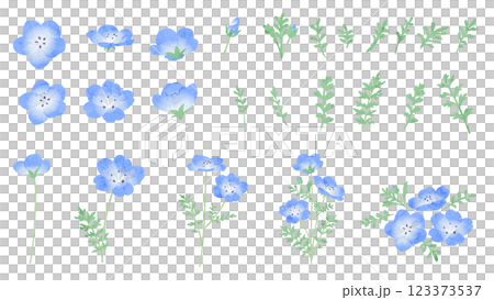 ネモフィラの水彩風ベクターイラスト 123373537
