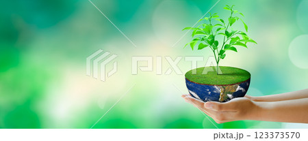 Growing plant on half globe in hand with butterfly. Green background with bokeh. World mental health and World earth day. Elements furnished by NASA. Saving environment and World Ecology Concept. 123373570