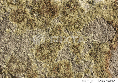 Close up of Historic Headstone in Rural East TX Cemetery 123373842