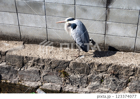 日本の岡山県岡山日本の岡山県岡山市庭瀬の歴史ある美しい風景市庭瀬の歴史ある美しい風景 123374077