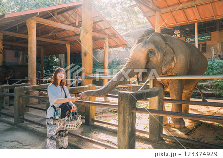 タイの観光スポット　エレファントキャンプ 123374929