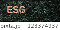 ESG (environment,social,governance)  text on big green leaves wall background  for sdgs goals in a sustainable 123374937
