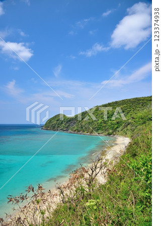 奄美大島　大和村国直　初夏の風景 123374938