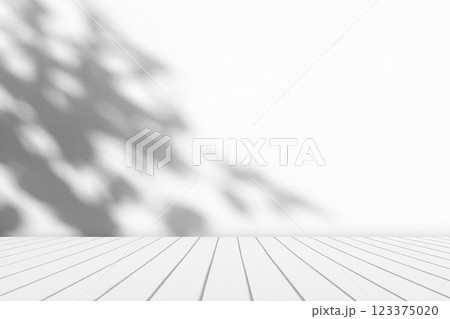 Abstract White Wooden Floor with with Tree Shadow on Concrete Wall Texture Background 123375020