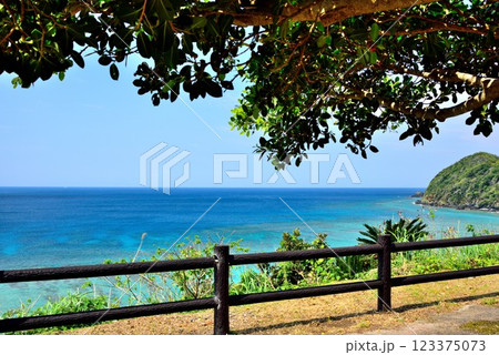 奄美大島　大和村国直　初夏の風景 123375073