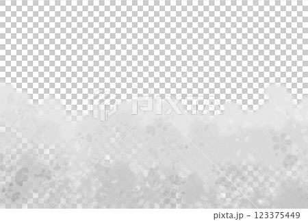 グレーの水彩で描いたグラデーションと桜の花と花びらの背景 123375449