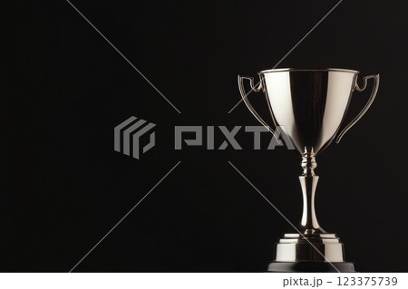 Elegant Silver Trophy on Dark Background Symbol of Achievement and Success ai generative 123375739