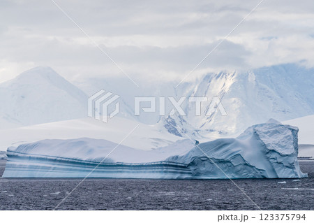 Antarctic landscape near the Lemaire channel Antarctic landscape near the Lemaire channel 123375794