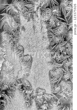 The frosty pattern on the glass is a miracle of nature. Frost on the window. Abstraction "Snowball Eater". Black and white. 123375926