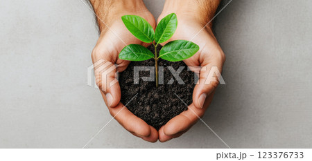 Nurturing hands cradle small green tree, symbolizing growth and care Nurturing hands cradle small green tree, symbolizing growth and care 123376733