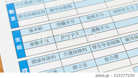 給与明細書の住宅手当欄 お給料 法定外福利厚生 給与明細書の住宅手当欄 お給料 法定外福利厚生 123377230