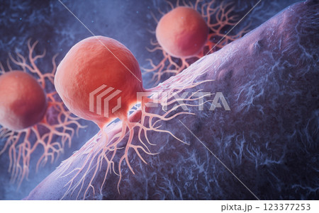 立体 3次元 3D 123377253