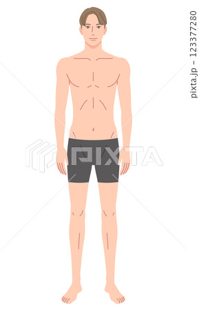 男性　体型　骨格モデル 123377280
