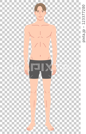 男性　体型　骨格モデル 123377280