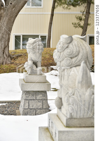 冬の北海道江差町で柏森神社境内の風景を撮影 冬の北海道江差町で柏森神社境内の風景を撮影 123377658