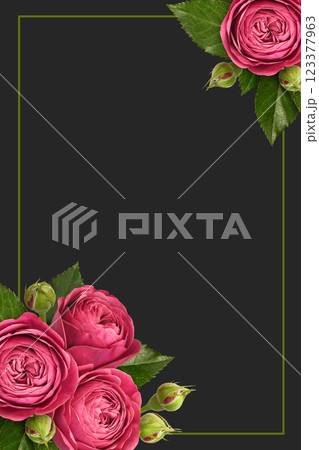 Red rose flowers, green leaves and buds in a corner floral arrangements with frame on dark background Red rose flowers, green leaves and buds in a corner floral arrangements with frame on dark background 123377963
