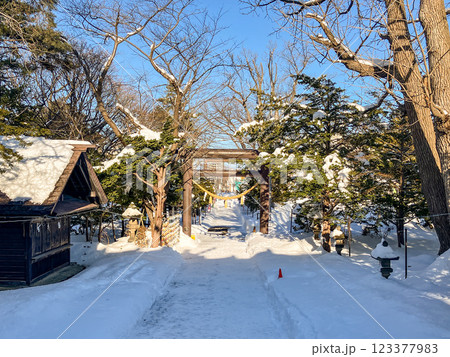 月寒神社 鳥居 札幌市豊平区 冬の夕方 月寒神社 鳥居 札幌市豊平区 冬の夕方 123377983