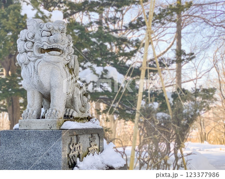 冬の夕方の月寒神社 123377986