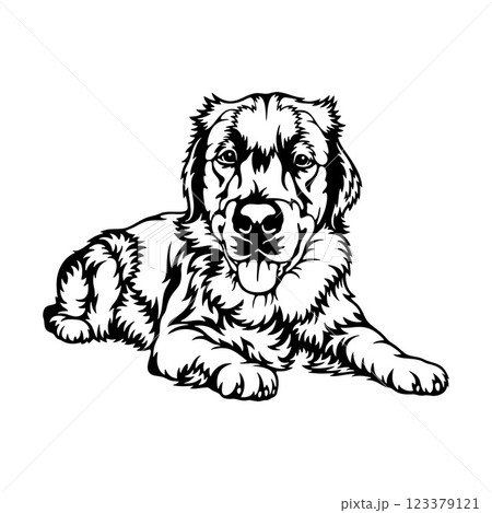 Golden Retriever Dog Breed - Pet Vector Cut file, Dog Silhouette Stencil - Cricut file 123379121