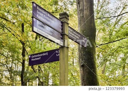 A detailed view of directional signposts in a verdant forest, showcasing pathways leading to various destinations, surrounded by nature's beauty. 123379993