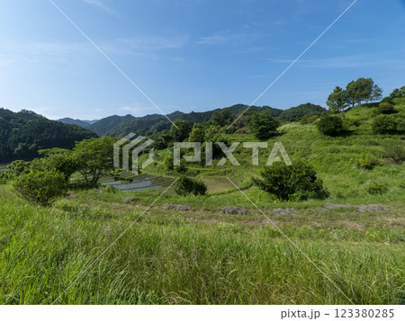 新緑が広がる夏の明日香村 123380285