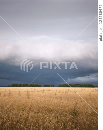 View among the fields on a summer day with stunning clouds before a thunderstorm. View among the fields on a summer day with stunning clouds before a thunderstorm. 123380476