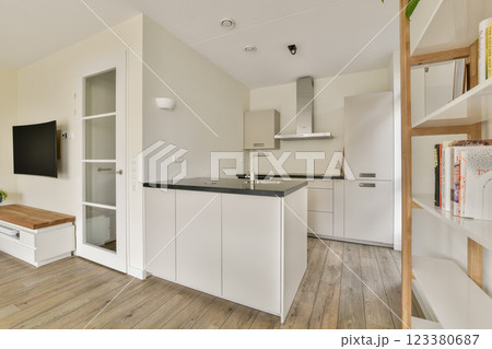 Stylish modern kitchen featuring sleek cabinetry, wooden flooring, and a minimalist aesthetic. Bright and functional space inviting culinary creativity. 123380687